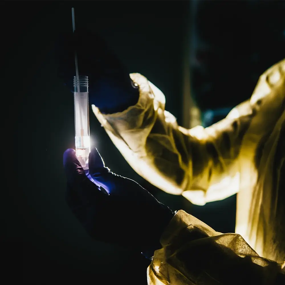 PCR test IPAC